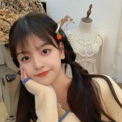 花旗少林